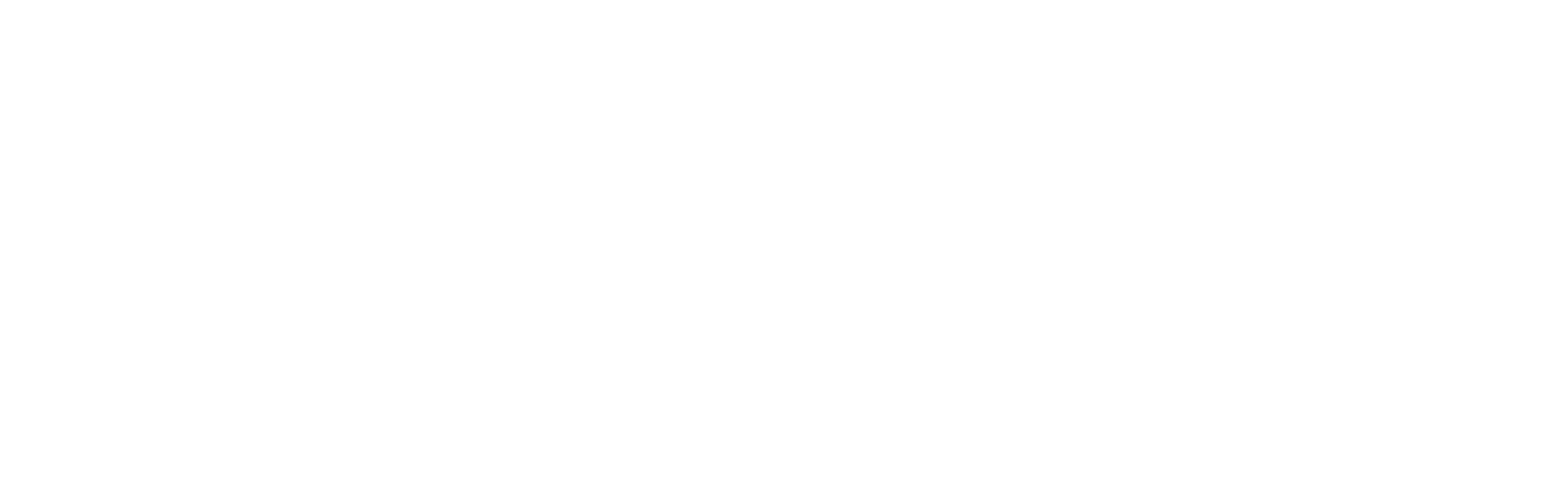 CALIBRI LOGO